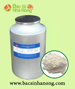 Thuốc Kháng Sinh STREPTOMYCIN