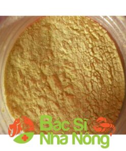 Men Tiêu Hóa (Nguyên Liệu)