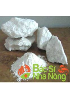 Men Vi Sinh Hạ Phèn (Nguyên Liệu)