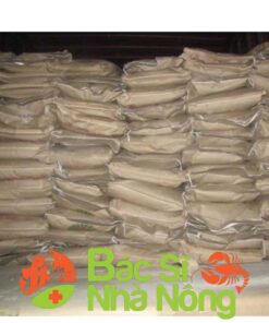 men vi sinh xử lý nước