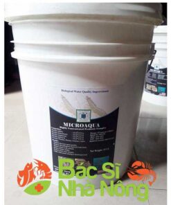 Men Vi Sinh - POND PROTECTICS (Dạng lỏng xử lý đáy)