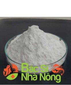 Men Vi Sinh Xử Lý Nước Cao Cấp - AQUA KING RAW