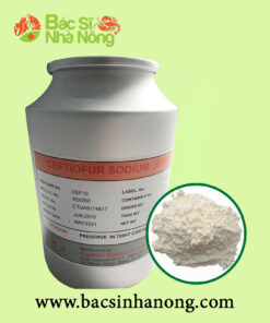 Kháng Sinh CEFTIOFUR KOPRAN (Ấn Độ)