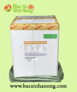 Kháng Sinh CEFOTAXIME KOPRAN (Ấn Độ)