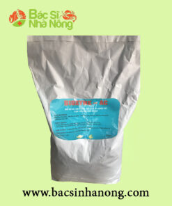 Men Vi Sinh Đường Ruột BIOZYME - AC (Mỹ)