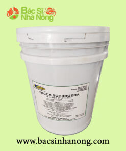 YUCCA BEROSEN Xô 20 Lít (Mỹ)