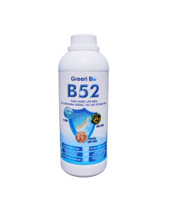 B52