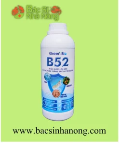 B52 - HỖ TRỢ ĐIỀU TRỊ BỆNH PHÂN TRẮNG