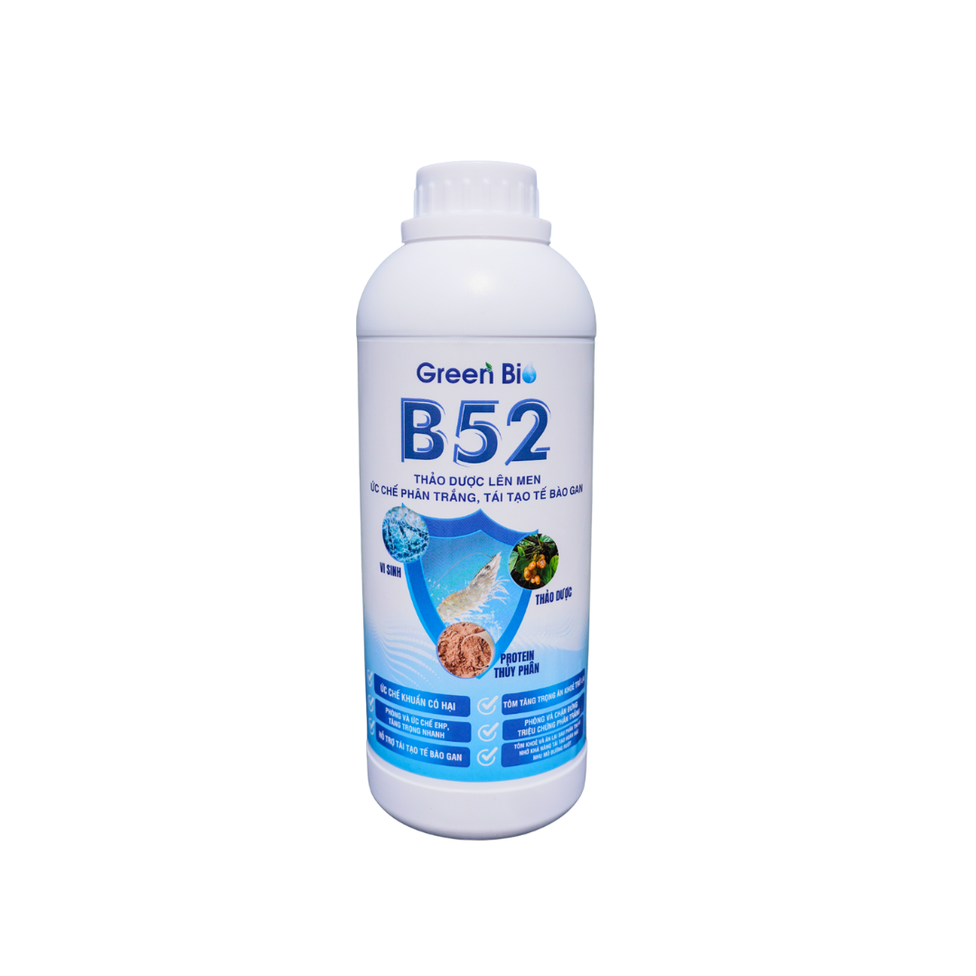B52