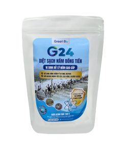 G24