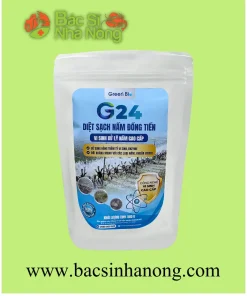 G24 - VI SINH CAO CẤP, XỬ LÝ NẤM ĐỒNG TIỀN