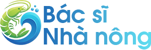 bacsinhanong.com